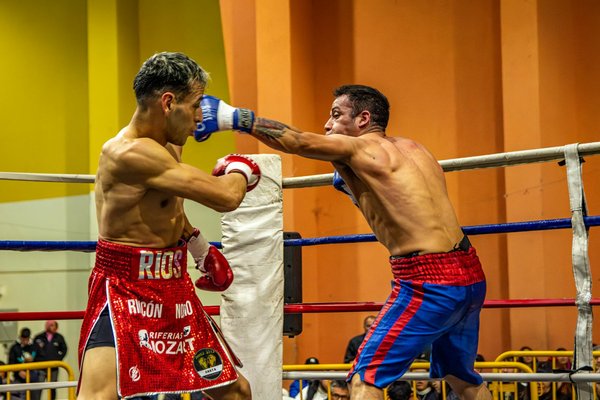 Oligo-éléments : les alliés insoupçonnés de la nutrition sportive